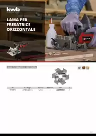 Volantino Einhell Pagina 113