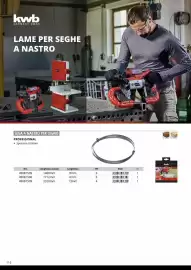 Volantino Einhell Pagina 114