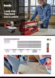 Volantino Einhell Pagina 116