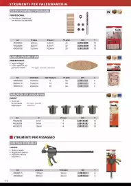 Volantino Einhell Pagina 118