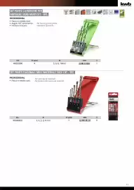 Volantino Einhell Pagina 13