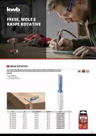 Volantino Einhell Pagina 149