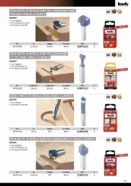 Volantino Einhell Pagina 151