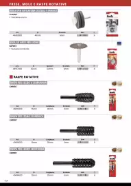 Volantino Einhell Pagina 156