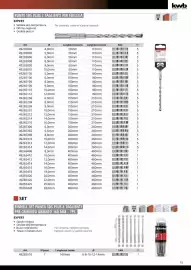 Volantino Einhell Pagina 17