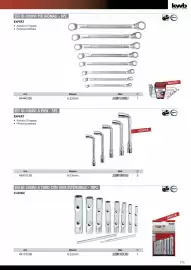 Volantino Einhell Pagina 177