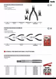 Volantino Einhell Pagina 181