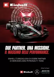 Volantino Einhell Pagina 196