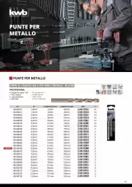 Volantino Einhell Pagina 25