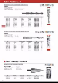 Volantino Einhell Pagina 28