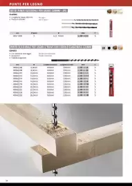 Volantino Einhell Pagina 36