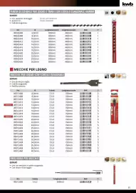 Volantino Einhell Pagina 37