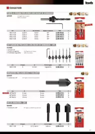 Volantino Einhell Pagina 39