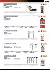 Volantino Einhell Pagina 41