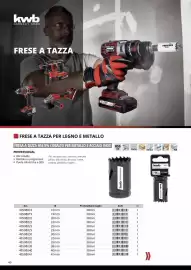 Volantino Einhell Pagina 42