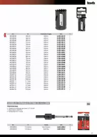 Volantino Einhell Pagina 43