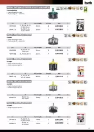 Volantino Einhell Pagina 45