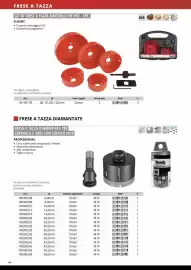 Volantino Einhell Pagina 46