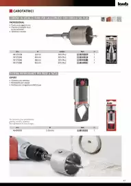 Volantino Einhell Pagina 49