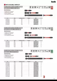 Volantino Einhell Pagina 51