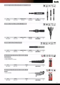 Volantino Einhell Pagina 59