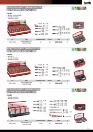 Volantino Einhell Pagina 65