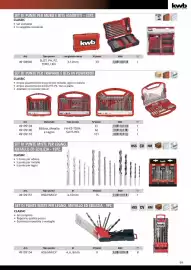 Volantino Einhell Pagina 71