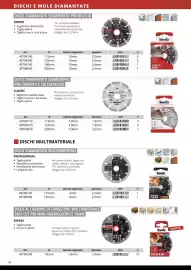 Volantino Einhell Pagina 76