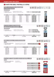 Volantino Einhell Pagina 8