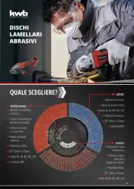 Volantino Einhell Pagina 87