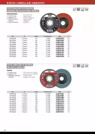 Volantino Einhell Pagina 88