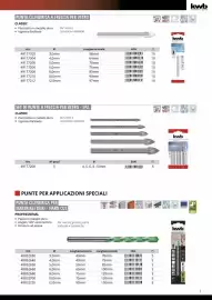 Volantino Einhell Pagina 9