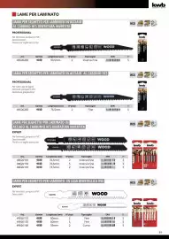 Volantino Einhell Pagina 91