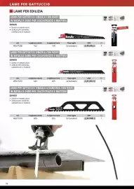 Volantino Einhell Pagina 98