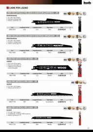 Volantino Einhell Pagina 99