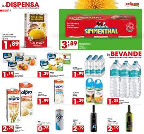 Volantino Iper Pellicano Pagina 13