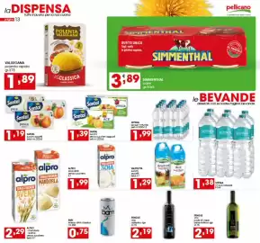 Volantino Iper Pellicano Pagina 13