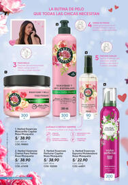 Catálogo Azzorti Página 24