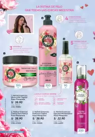 Catálogo Azzorti Página 24