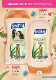 Catálogo Azzorti Página 29