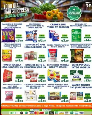 Catálogo Macro Atacado Treichel (válido até 15-01)