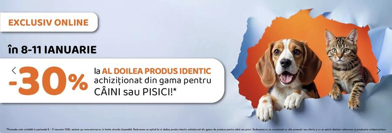 Magazine Animax Pagină 2