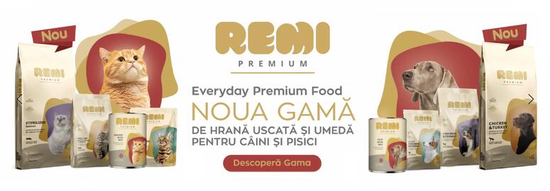 Magazine Animax Pagină 4