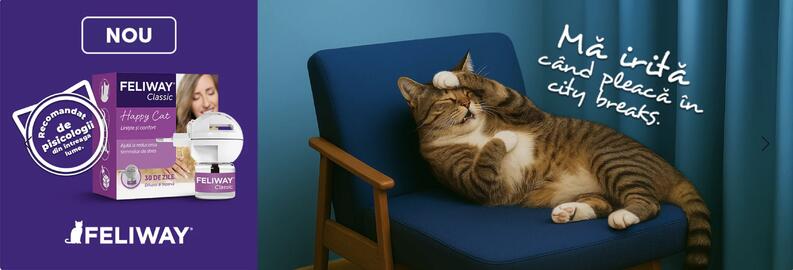 Magazine Animax Pagină 6