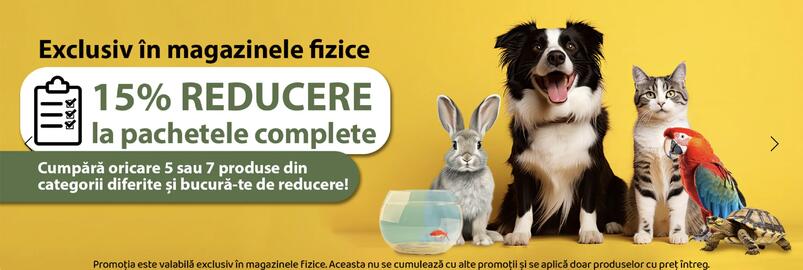 Magazine Animax Pagină 8