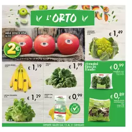 Volantino Maxi Coal Pagina 13