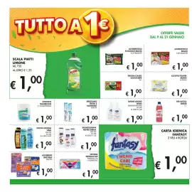 Volantino Maxi Coal Pagina 6