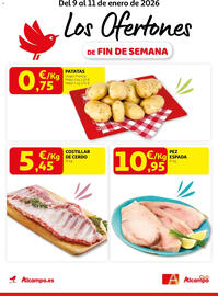 Folleto Alcampo Página 1