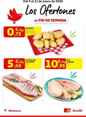 Folleto Alcampo (válido hasta el 11-01)
