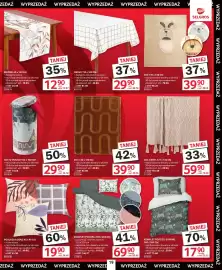 Selgros gazetka Strona 19